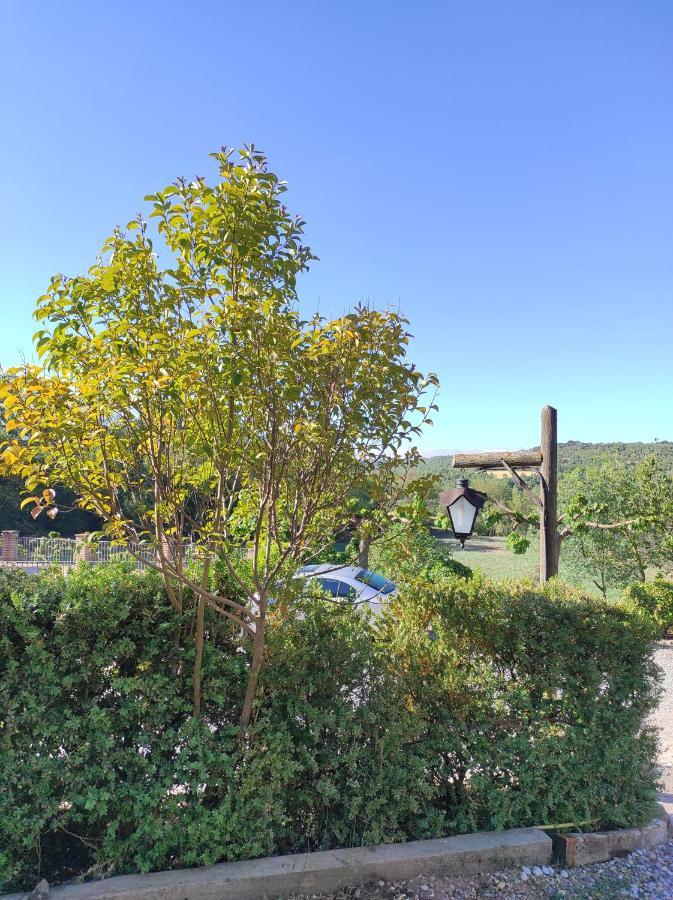 Allotjament Rural Solsona Εξωτερικό φωτογραφία