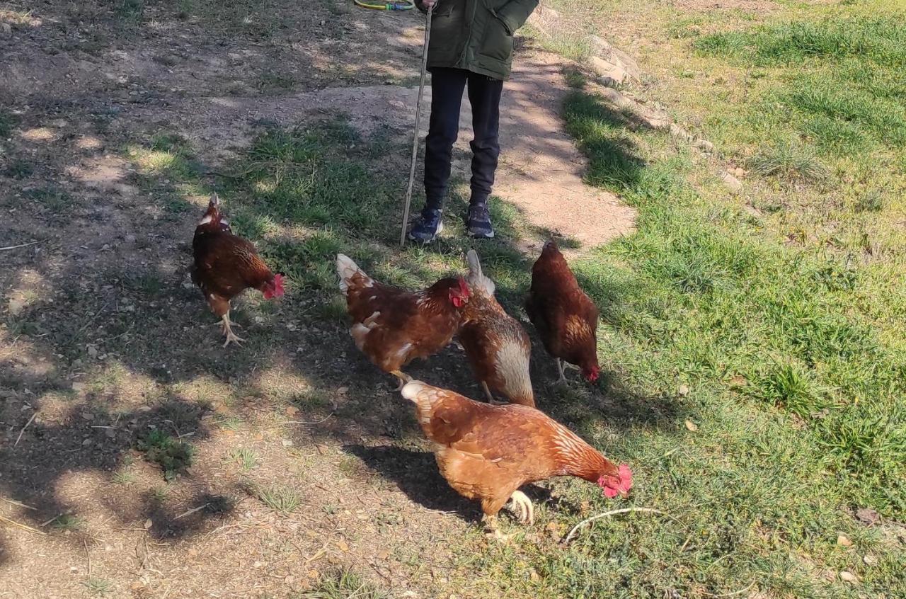 Allotjament Rural Solsona Εξωτερικό φωτογραφία