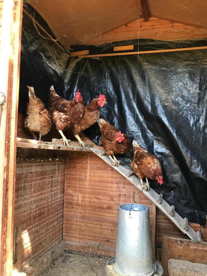 Allotjament Rural Solsona Εξωτερικό φωτογραφία