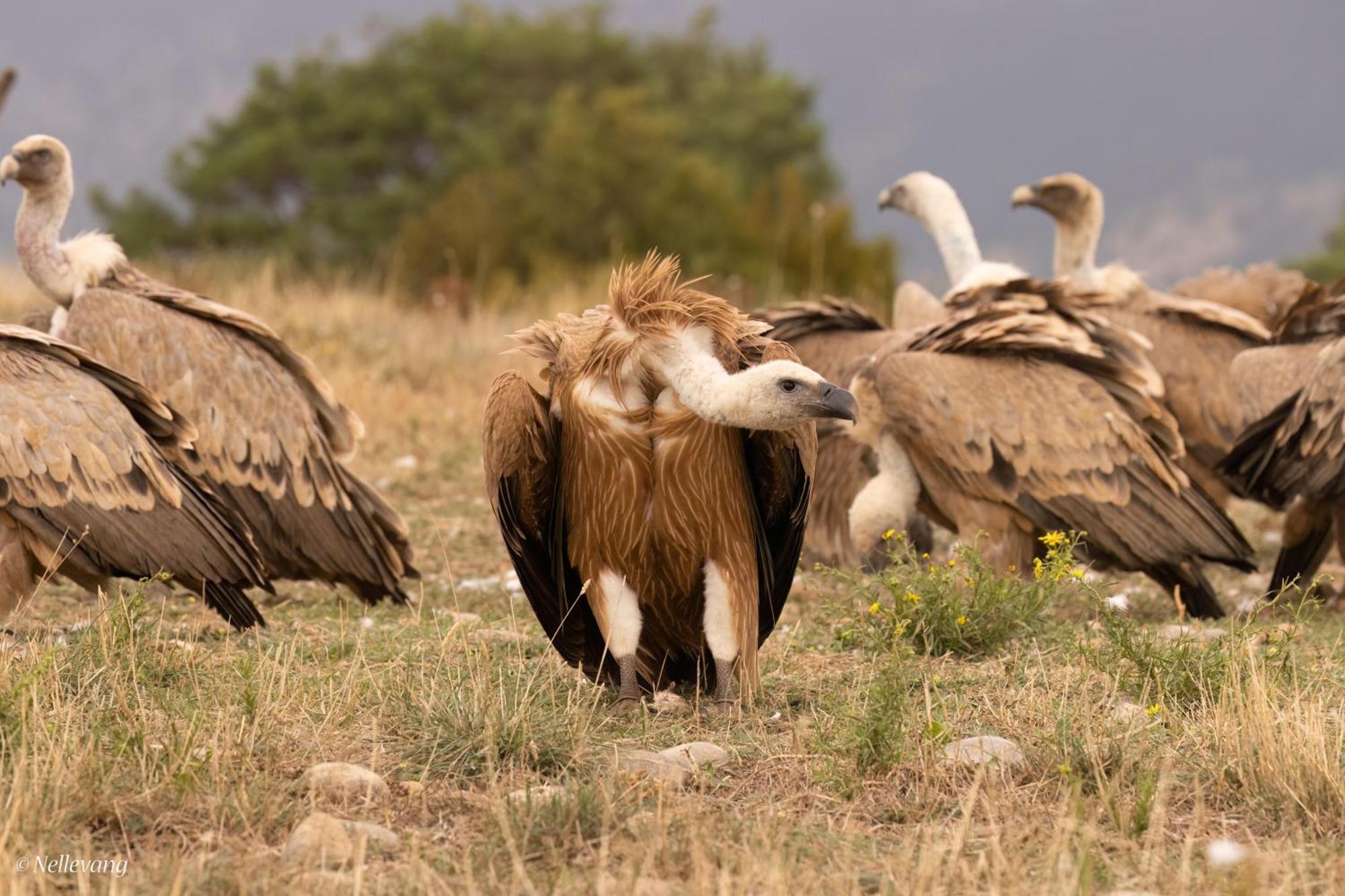 Allotjament Rural Solsona Εξωτερικό φωτογραφία